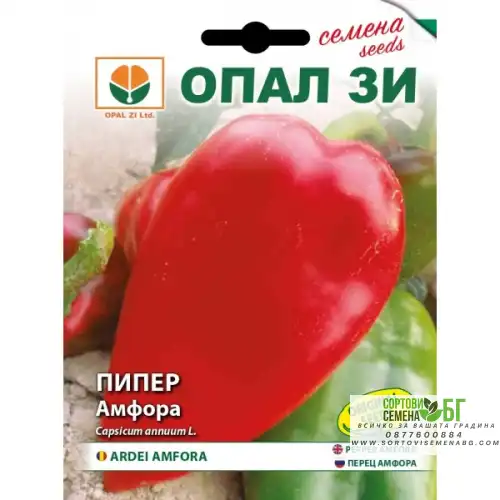 Пипер Амфора