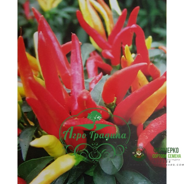 Пипер Поупила