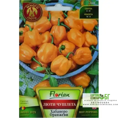 Много люти чушлета - хабанеро (оранжеви)
