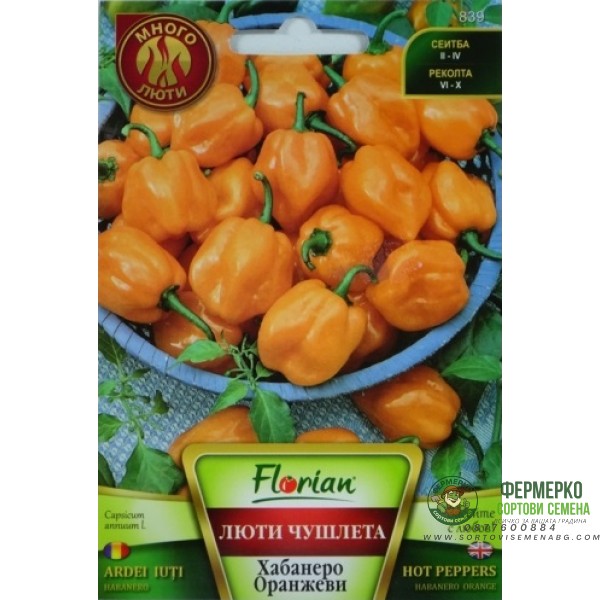 Много люти чушлета - хабанеро (оранжеви)