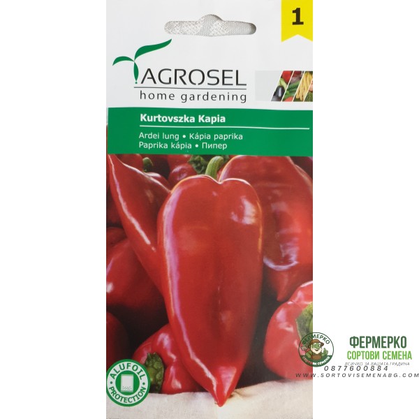 Пипер Куртовска капия