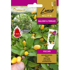 Пипер дърво Вулкан (много лют) Vulcain