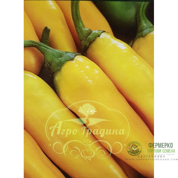 Пипер жълти рибки - нов сорт Пипер жълти рибки - нов сорт