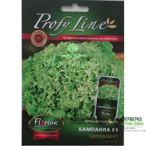 Салата Кампания F1