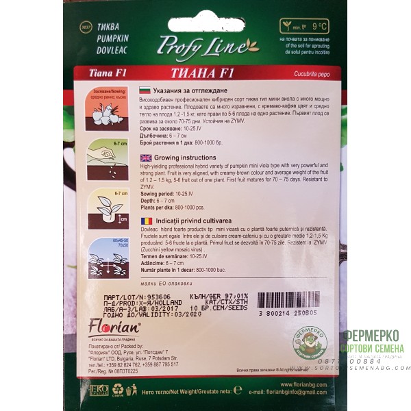 Тиква Тиана F1 (мини виола)