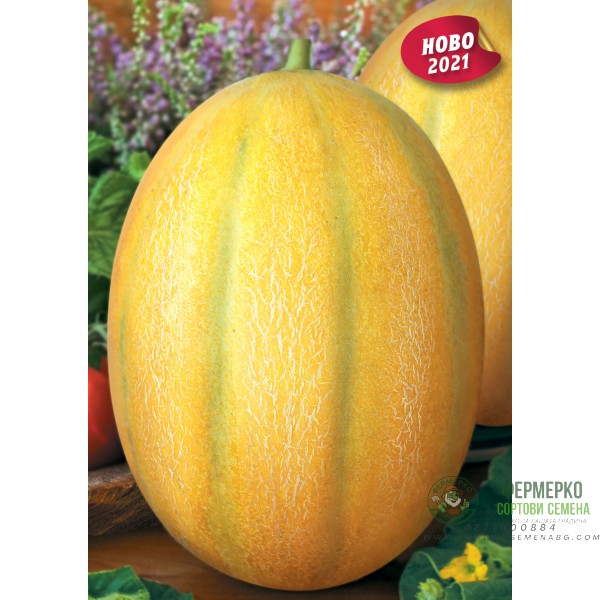 Пъпеш Гладиатор F1 - НОВО Пъпеш Гладиатор F1 - НОВО