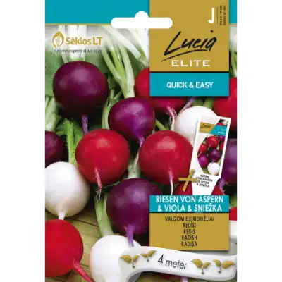 Микс репички на Лента