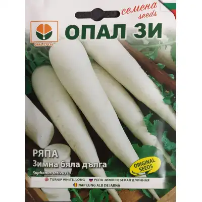 Ряпа Зимна бяла дълга