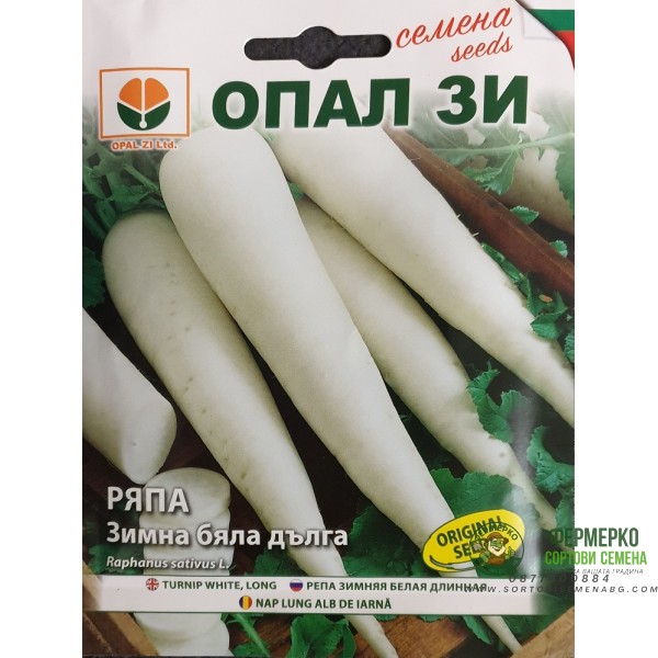 Ряпа Зимна бяла дълга