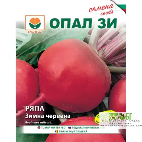 Ряпа Зимна Червена Ряпа Зимна Червена