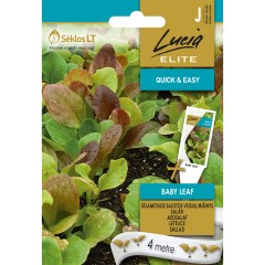 Семена на Лента за Микс Салати Бейби лийф Lactuca sativa L Baby leaf