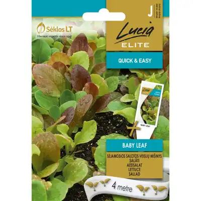 Семена на Лента за Микс Салати Бейби лийф Lactuca sativa L Baby leaf