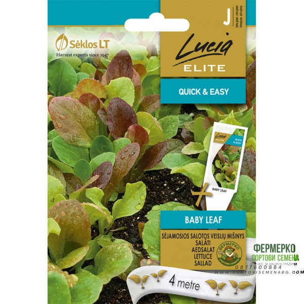 Семена на Лента за Микс Салати Бейби лийф Lactuca sativa L Baby leaf