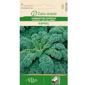 Кейл къдрав Капрал / Kapral