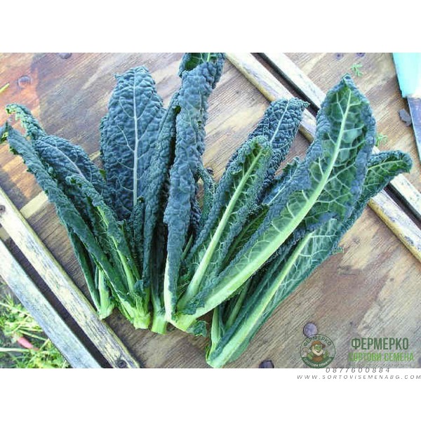 Кейл Тоскана Nero Di Toscana