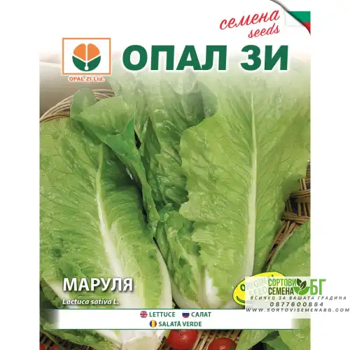 Маруля Париж Маруля Париж