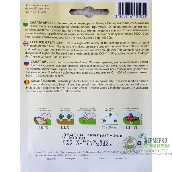 Салата Айсберг