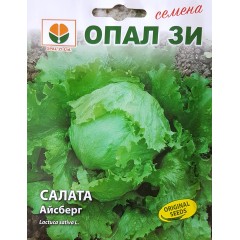 Салата Айсберг