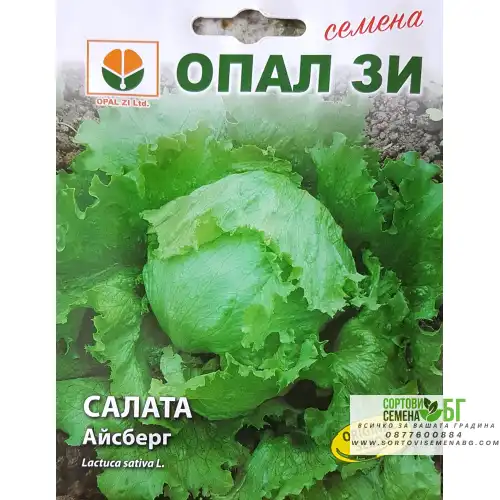 Салата Айсберг