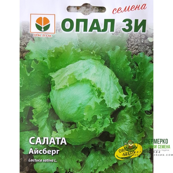 Салата Айсберг