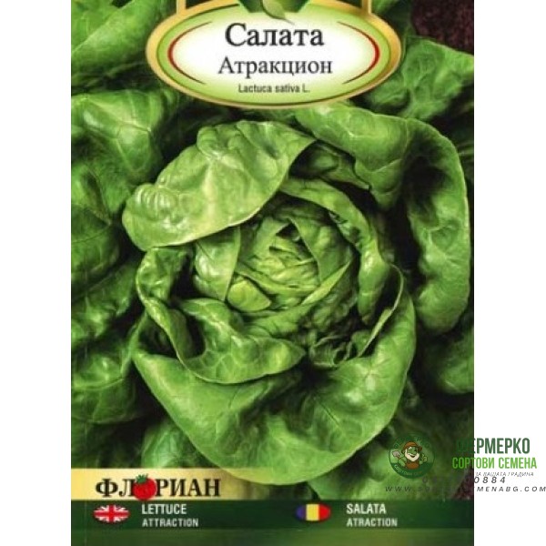 Салата Атракцион - крехка и вкусна