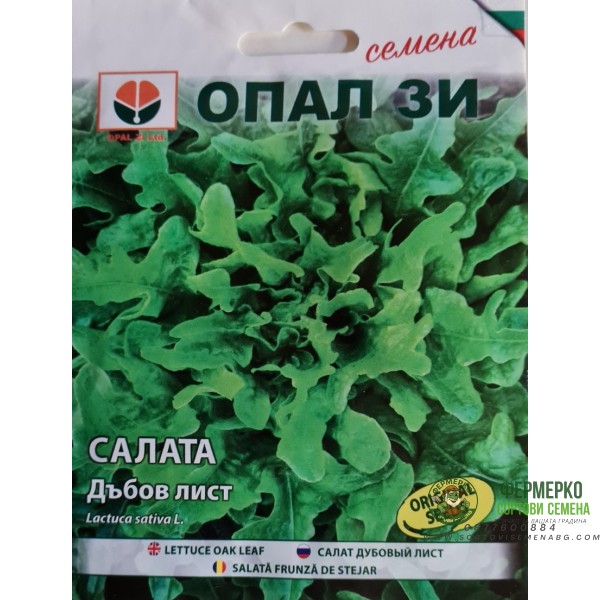 Салата Дъбов лист (зелена)