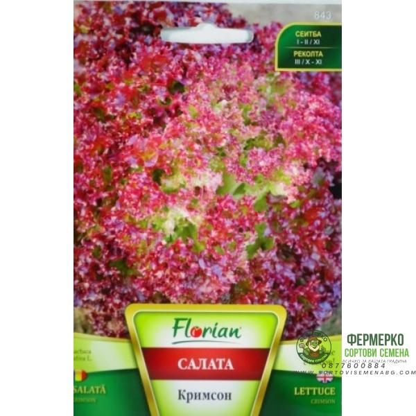Салата Кримсон (тип Лоло Роса)