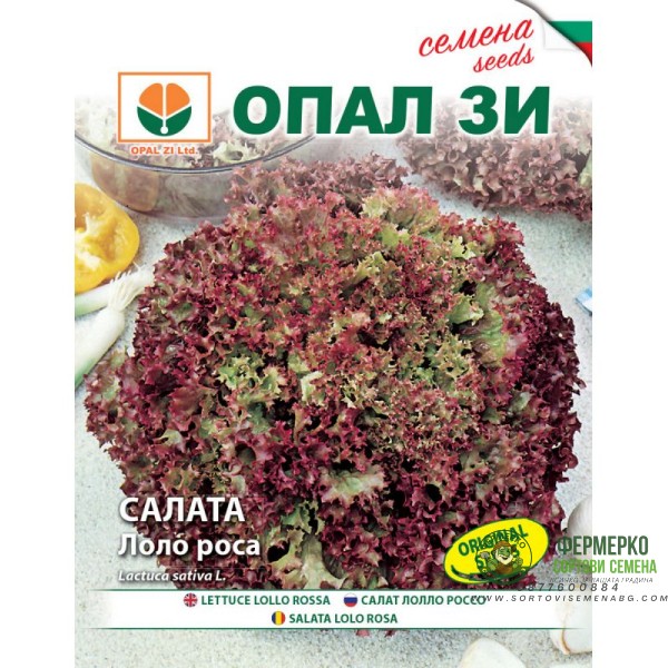 Салата Лоло Роса