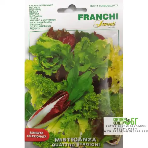 Салати микс четири сезона