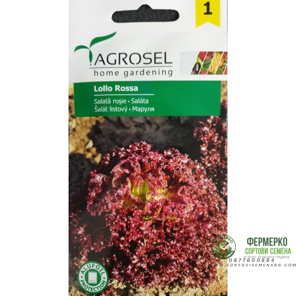 Салата Лоло Роса