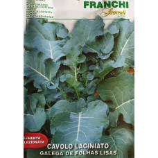 Кейл с Гладки листа Galega De Folhas Lisas