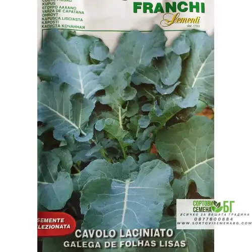 Кейл - португалско листно зеле с гладки листа