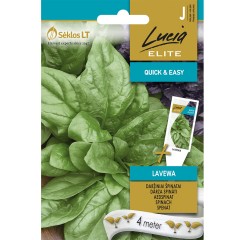 Семена на Лента Спанак Лавева Spinacia oleracea Lavewa