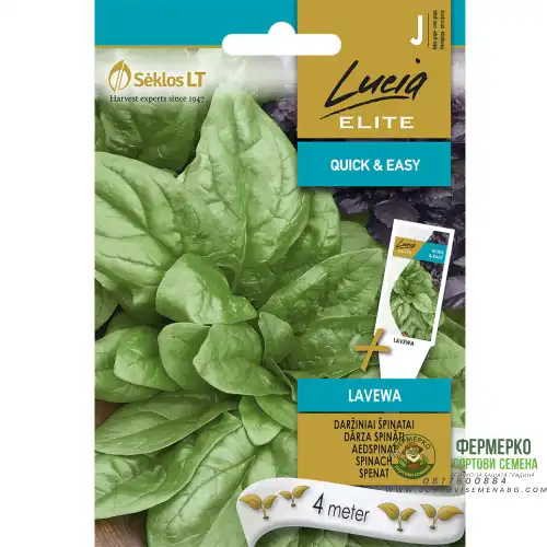 Семена на Лента Спанак Лавева / Spinacia oleracea Lavewa