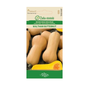 Тиква Бутернут (гладка) / Waltham Butternut