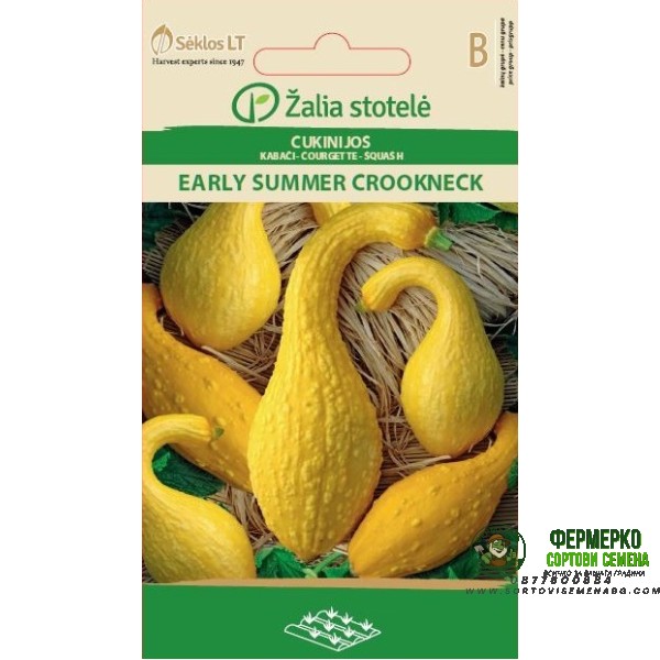 Тиква жълта извита (ранна лятна) Early summer crookneck
