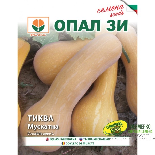Тиква Мускатна