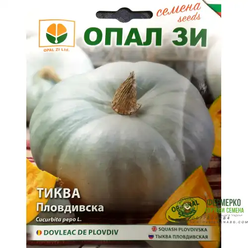 Тиква Пловдивска