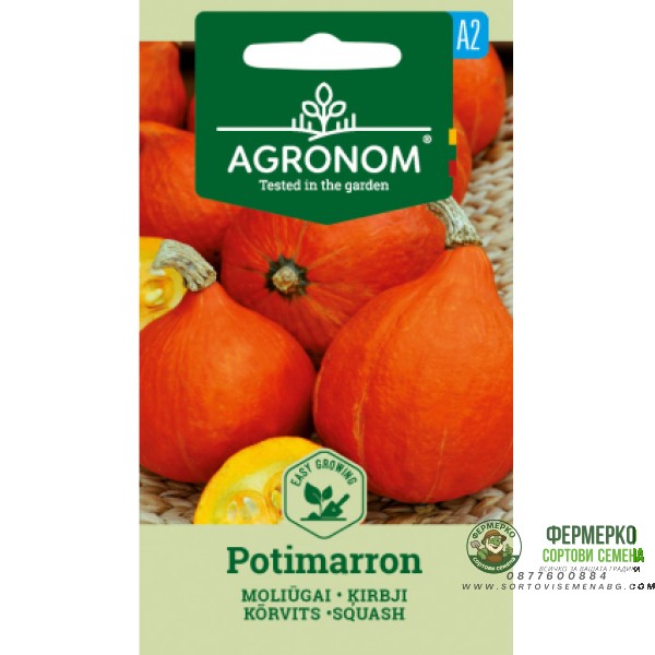 Тиква Потимарон Potimarron