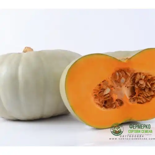 Тиква Сампсон Sampson F1