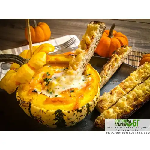 Тиква сладка Дъмплинг / Sweet Dumpling Тиква сладка Дъмплинг / Sweet Dumpling