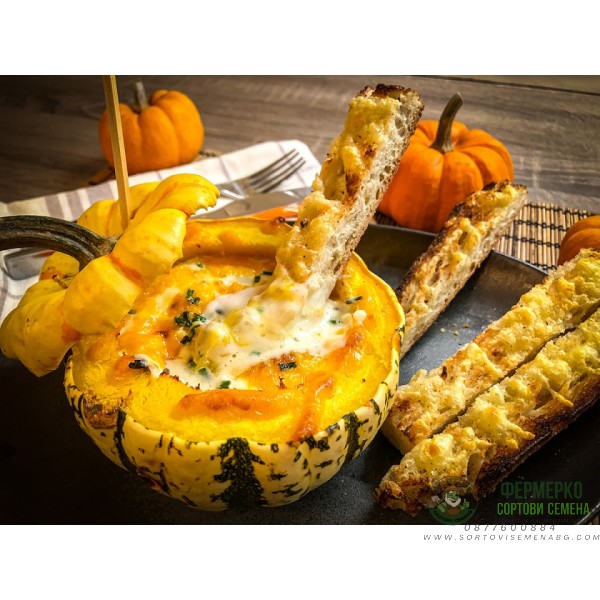 Тиква сладка Дъмплинг Sweet Dumpling