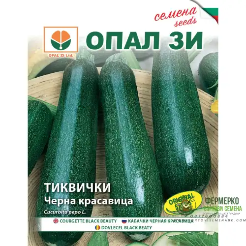 Тиквички Черна красавица