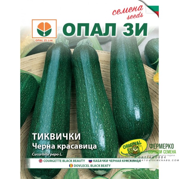 Тиквички Черна красавица