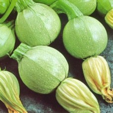 Тиквички Ди Ница Di Nizza