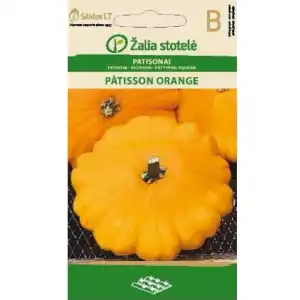 Тиквичка Патисон Оранжев