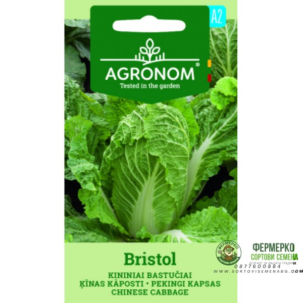 Китайско зеле Бристол Bristol