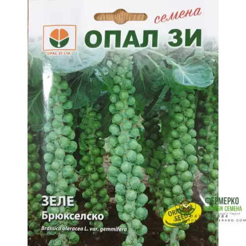 Брюкселско зеле