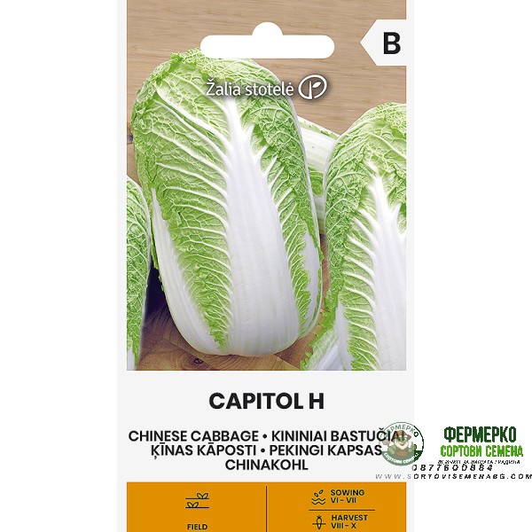 Зеле Китайско Капитол F1 Capitol H