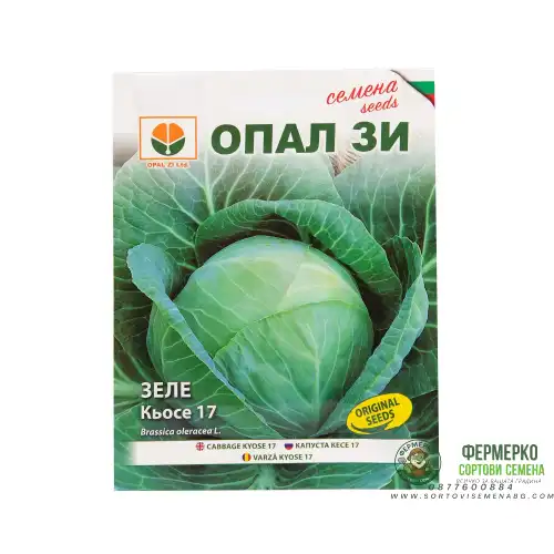 Зеле Кьосе 17